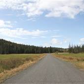 Tunkwa Lake Road Through Tunkwa Provincial Park