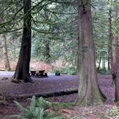 Goldstream Campground