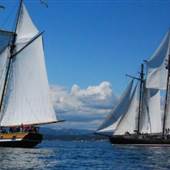 SALTS Tall Ships