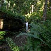 Kinman Campsite