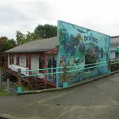 North Island Dive and Charter