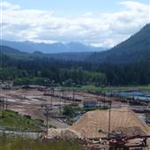 Beaver Cove Timberwest