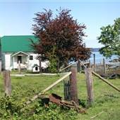 Sunnis Farm