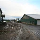 Evansdale Farm