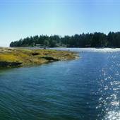 Newcastle Island Marine Provincial Park