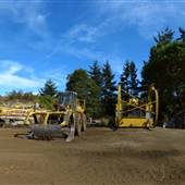 Northwest Bay Log Sort