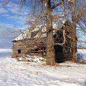 Jocko Creek Ranch Coopers 2 Homesteads, Forest & Open Fields - WINTER