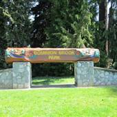 Dominion Brook Park