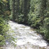 Harper Creek into North Barriere Lake
