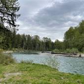 Stoltz Pools