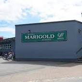Marigold Elementary School