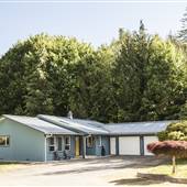 Little Blue House