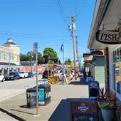 Steveston & Steveston Harbour