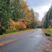 Plummer Road