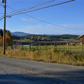 McCoy Lake Road