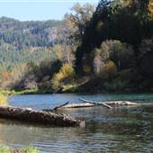Slocan River - Winlaw Nature Park