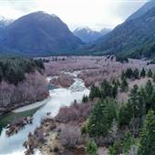 Thelwood Creek