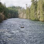 The Campbell River