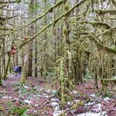 China Creek Trail