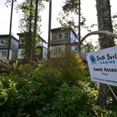South Swell Cabins