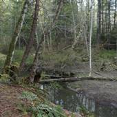 Arthur Mayse Side Channel Trail