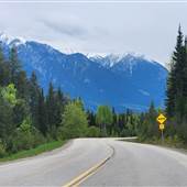 Golden Road + Mountain Snapshots