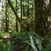 Thompson Trails 4/5