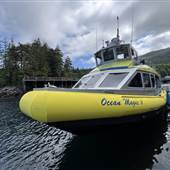 Prince Of Whales - Whale Watching and Boat Rentals
