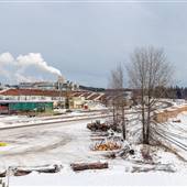 Quesnel Lumber and Pulp Mills