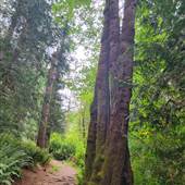 Roberts Memorial Provincial Park