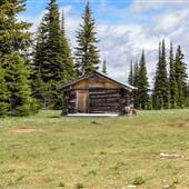Granite Mountain 1c Trapline Cabin & Sparse Forest