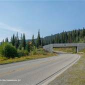 Sun Peaks Resort 442 Residential Walking Bridge & Road