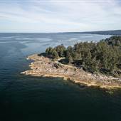 Orlebar Point / Berry Point