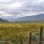 Blue Goose Cattle Company Crop Fields