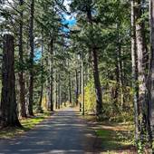 Oyster Garden Road
