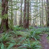Bevan Trail