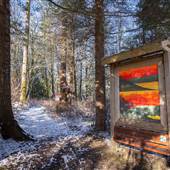 Millard Nature Park