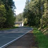Harewood Mines Road