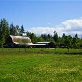 Hyland Farms