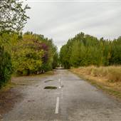 North 40 Park Reserve