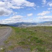 Hamilton Hill Road - LATE SPRING