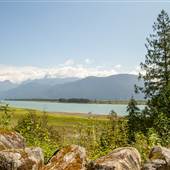 Widgeon Marsh Regional Park - Lookout