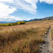 Ashcroft Ranch - Cornwall