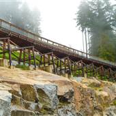 Trestle Bridge at the Mountain Path