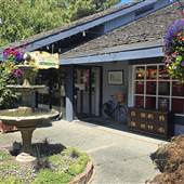 Everything Old Antiques