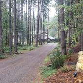 Private Westcoast Acreage Home