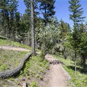 Pineview Trails and Parking at Hugh Allan Drive