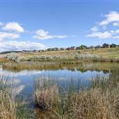 Pineview Valley Park  and Python Lake SPRING