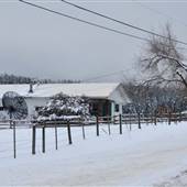 Duck Range Road & Trailer WINTER