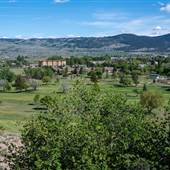 Merritt Parker Drive Bench Viewpoint